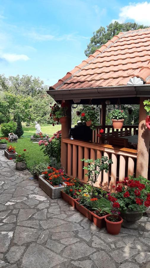 Apartmani "Dukic" Pelinovo Exterior foto