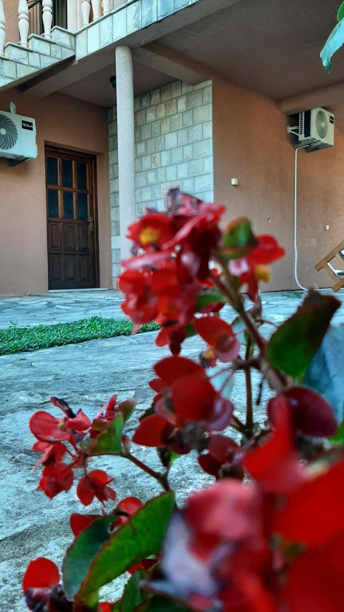 Apartmani "Dukic" Pelinovo Habitación foto