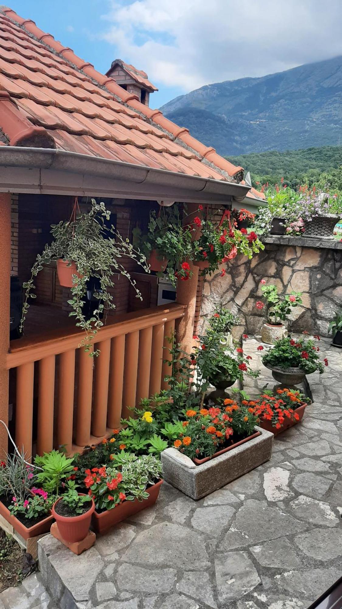 Apartmani "Dukic" Pelinovo Habitación foto
