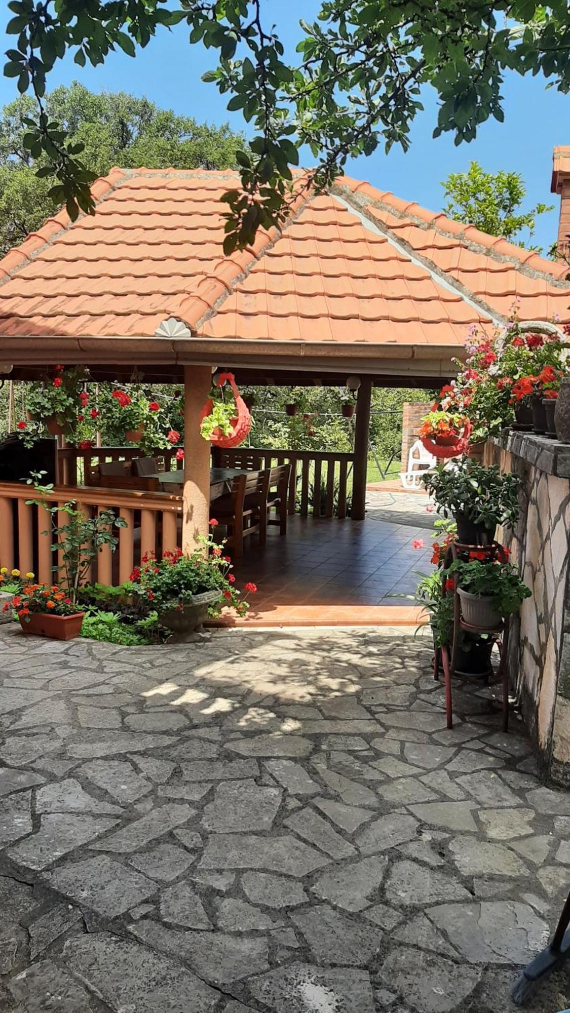 Apartmani "Dukic" Pelinovo Habitación foto